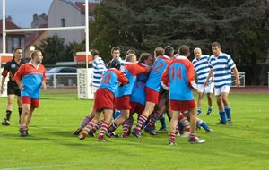 rugby sanofi.jpg