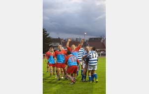 rugby sanofi-3.jpg