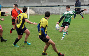 5be8943fdf86c_IMG2980.jpg
