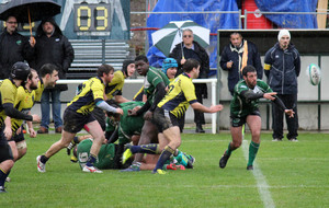 5be89440b9355_IMG2994.jpg
