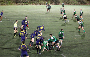 5c3bb20027ca8_IMG3446.jpg