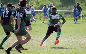 5ca131dda01f3_IMG4160.jpg