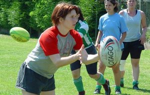 DSC07962.jpg