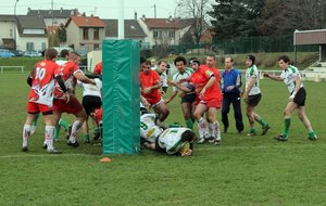 IMG_0433.jpg