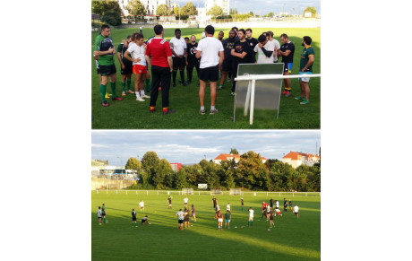 Entraînements - Stage samedi 2 et Dimanche 3 septembre.